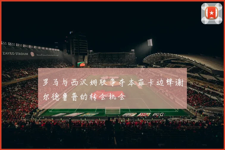 罗马与西汉姆联争夺本菲卡边锋谢尔德鲁普的转会机会