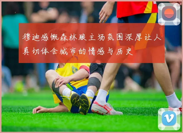 穆迪感慨森林狼主场氛围深厚让人真切体会城市的情感与历史