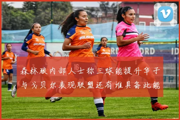森林狼内部人士称三球能提升华子与戈贝尔表现联盟还有谁具备此能力